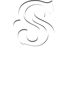 Snake Hill Web Agency